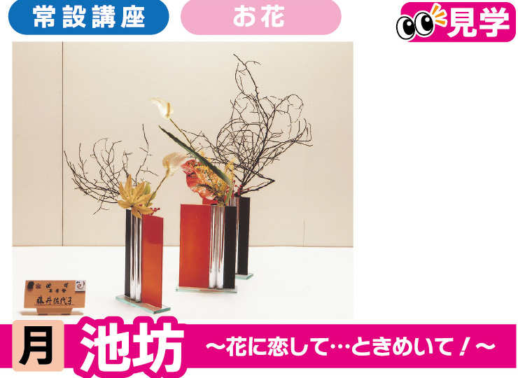 池坊 ～花に恋して…ときめいて！いっしょに楽しみませんか～