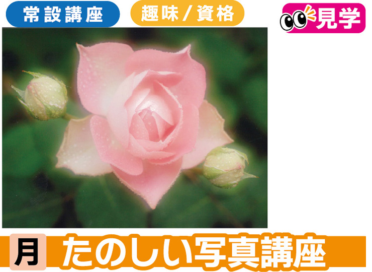 たのしい写真講座