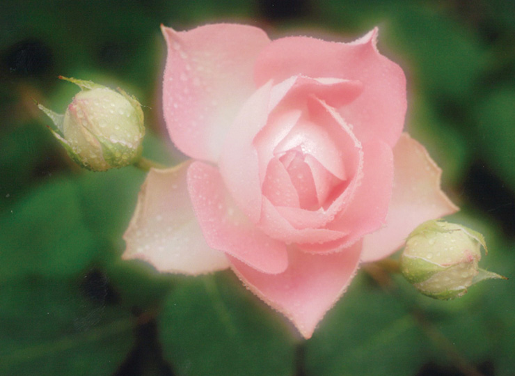 たのしい写真講座